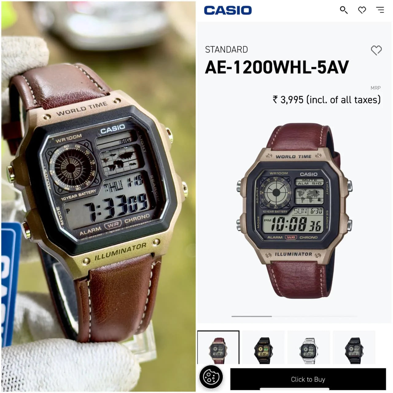 Casio Illuminator